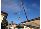 Emergency Tree Removal Mount Druitt