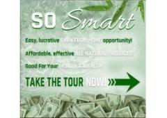 A fully automated Biz that produces $300 ayments like crazy!