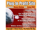 Money Making Website On The Internet